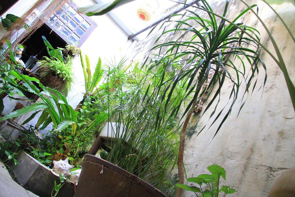 Moontree47 Motel George Town Ngoại thất bức ảnh