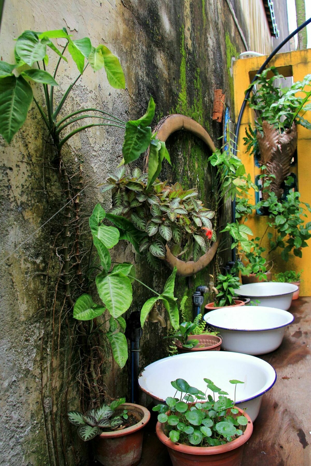 Moontree47 Motel George Town Ngoại thất bức ảnh